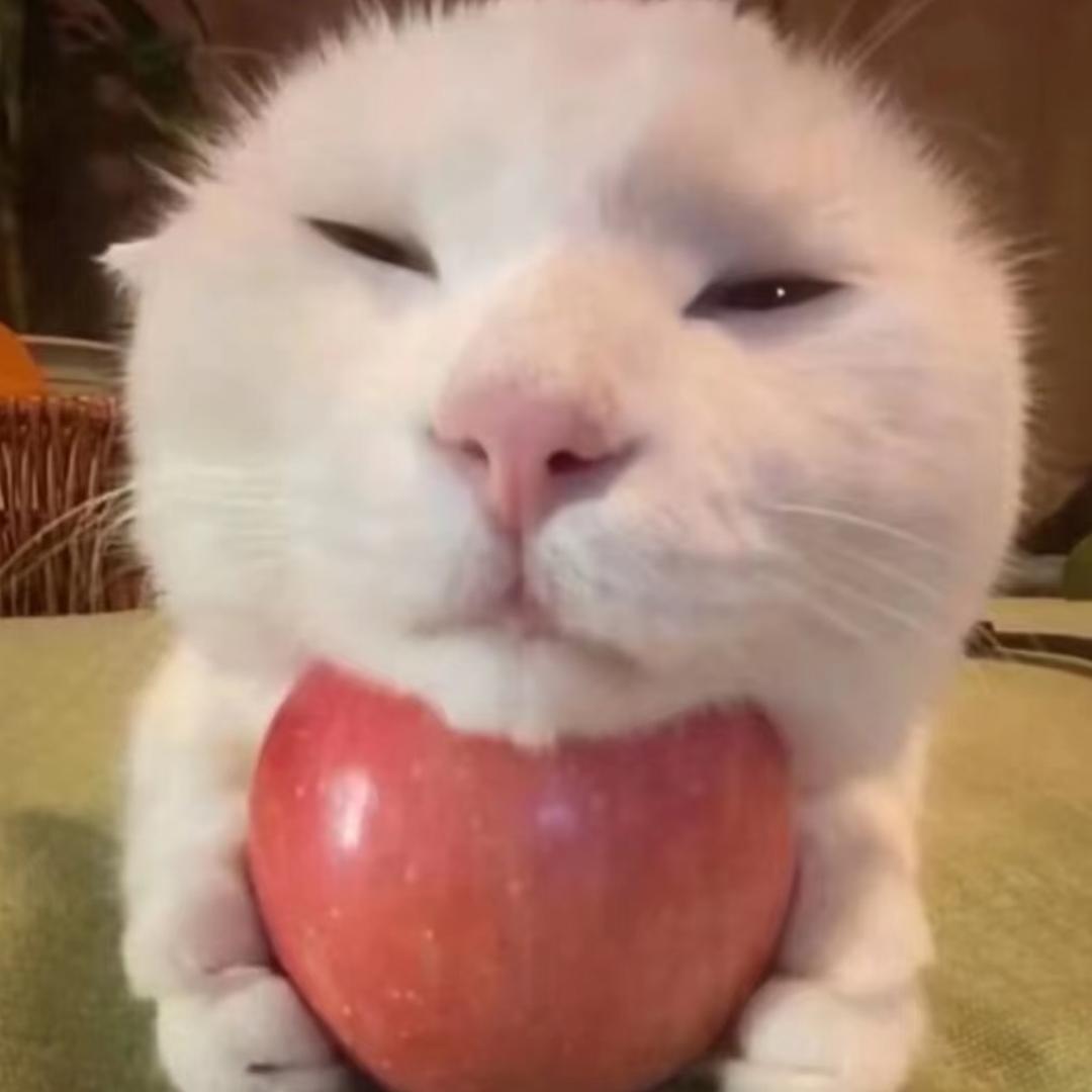 今天次什么