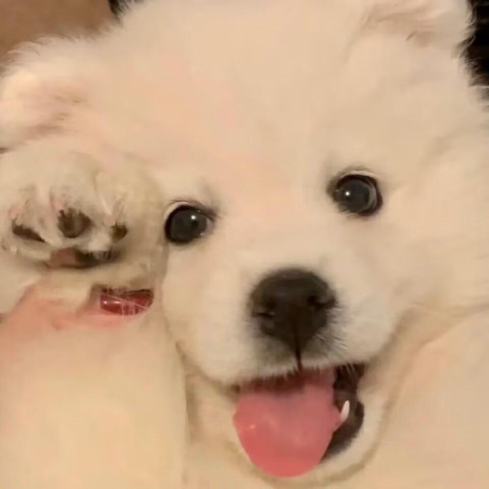 懿懿🦄