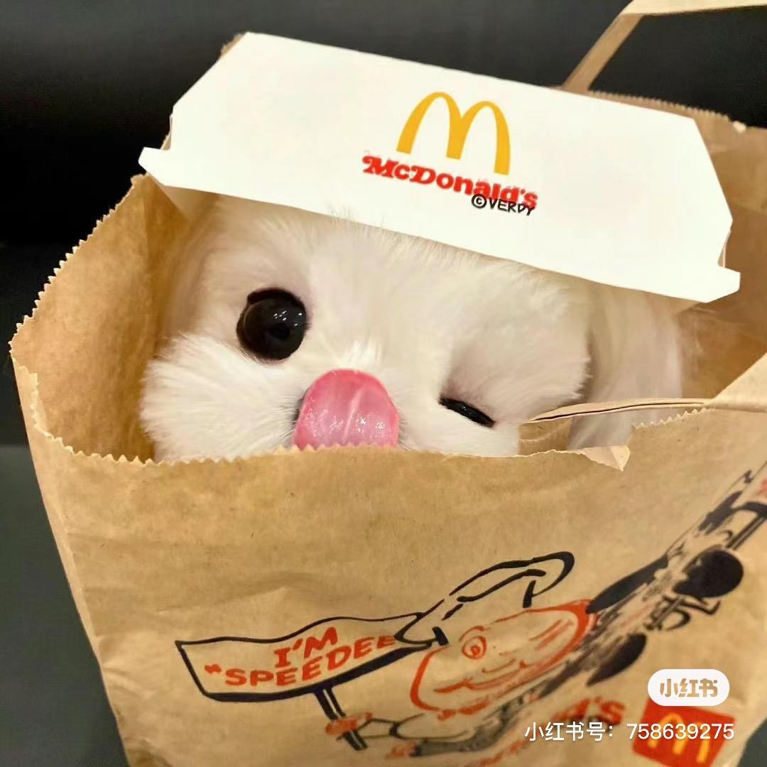 天天吃牛肉