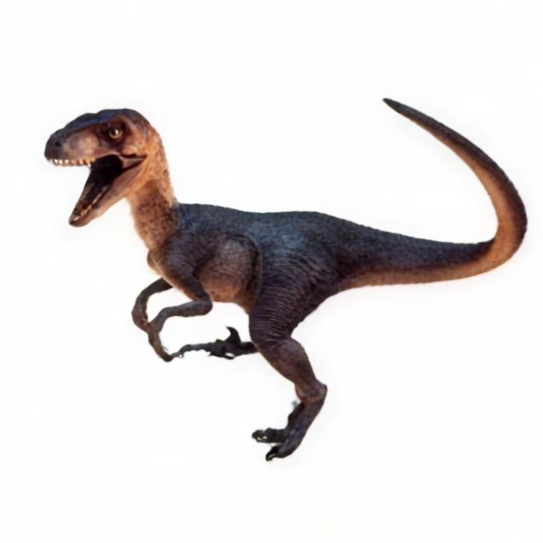 辽西古生物艺术摆件授权号