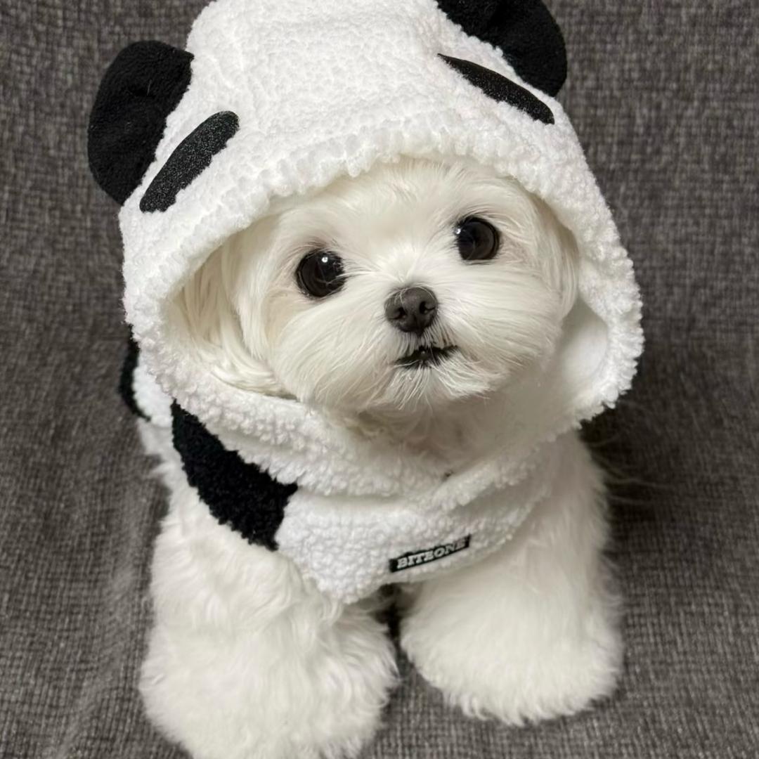迎风热拥