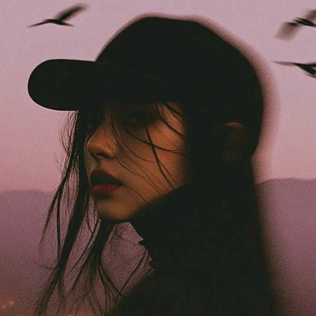 巷子里的猫^0^(秒回陪聊)