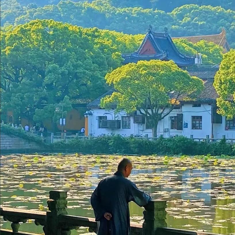 鼎盖纺织888