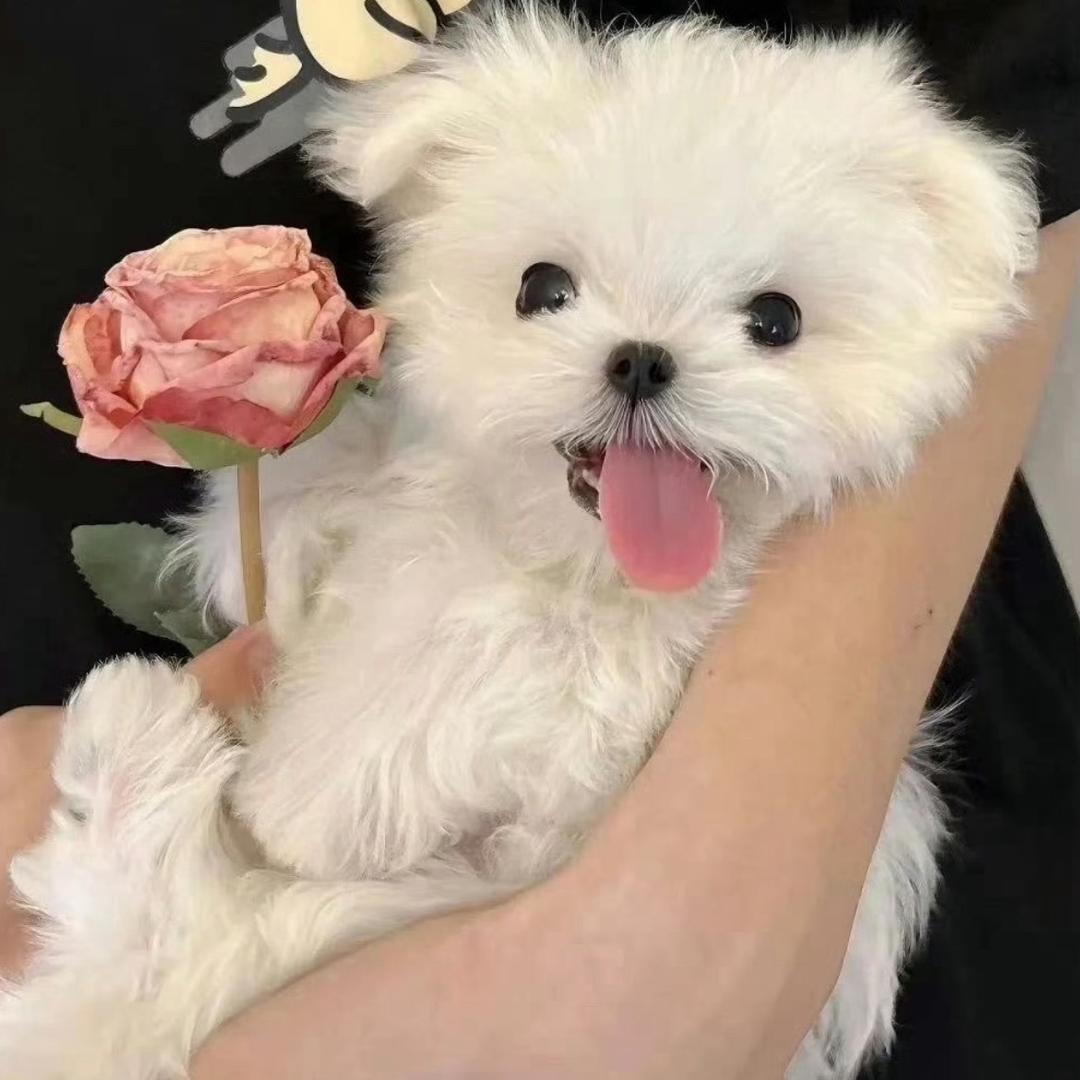 🧺