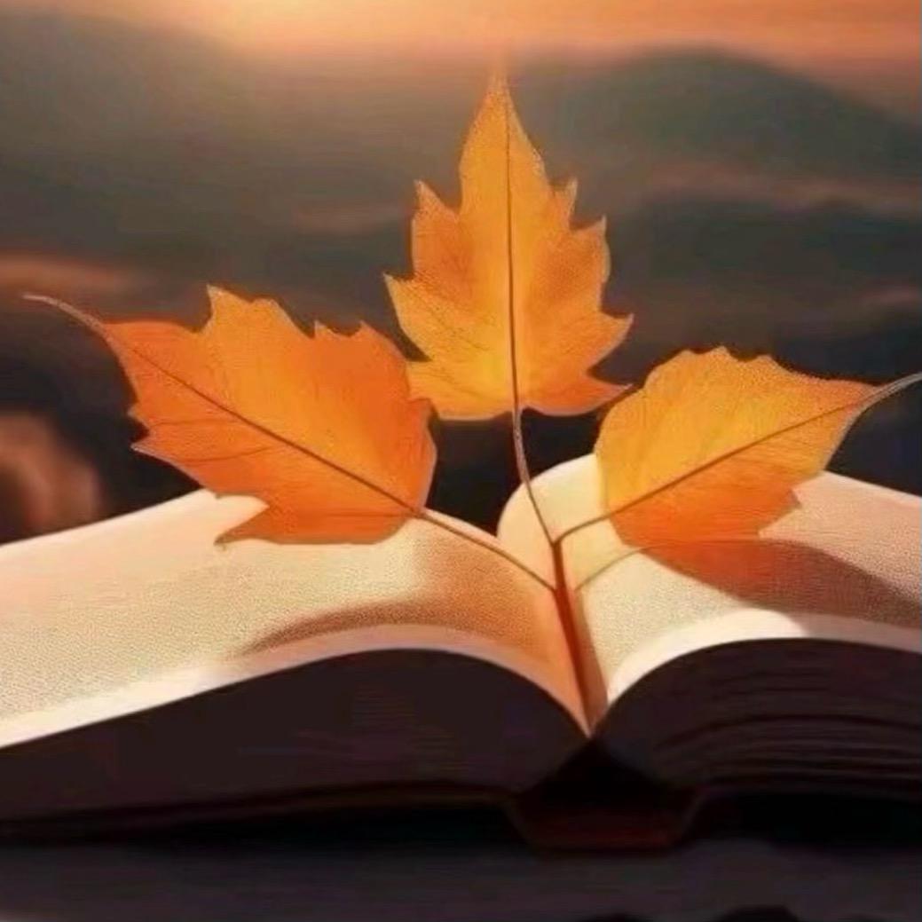 ༼ཞི་བདེ།༽