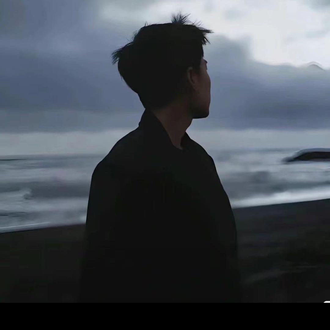 躲在蚊子后面的大象