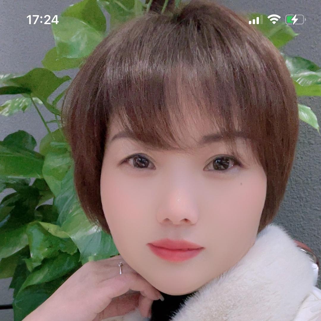雁南飞