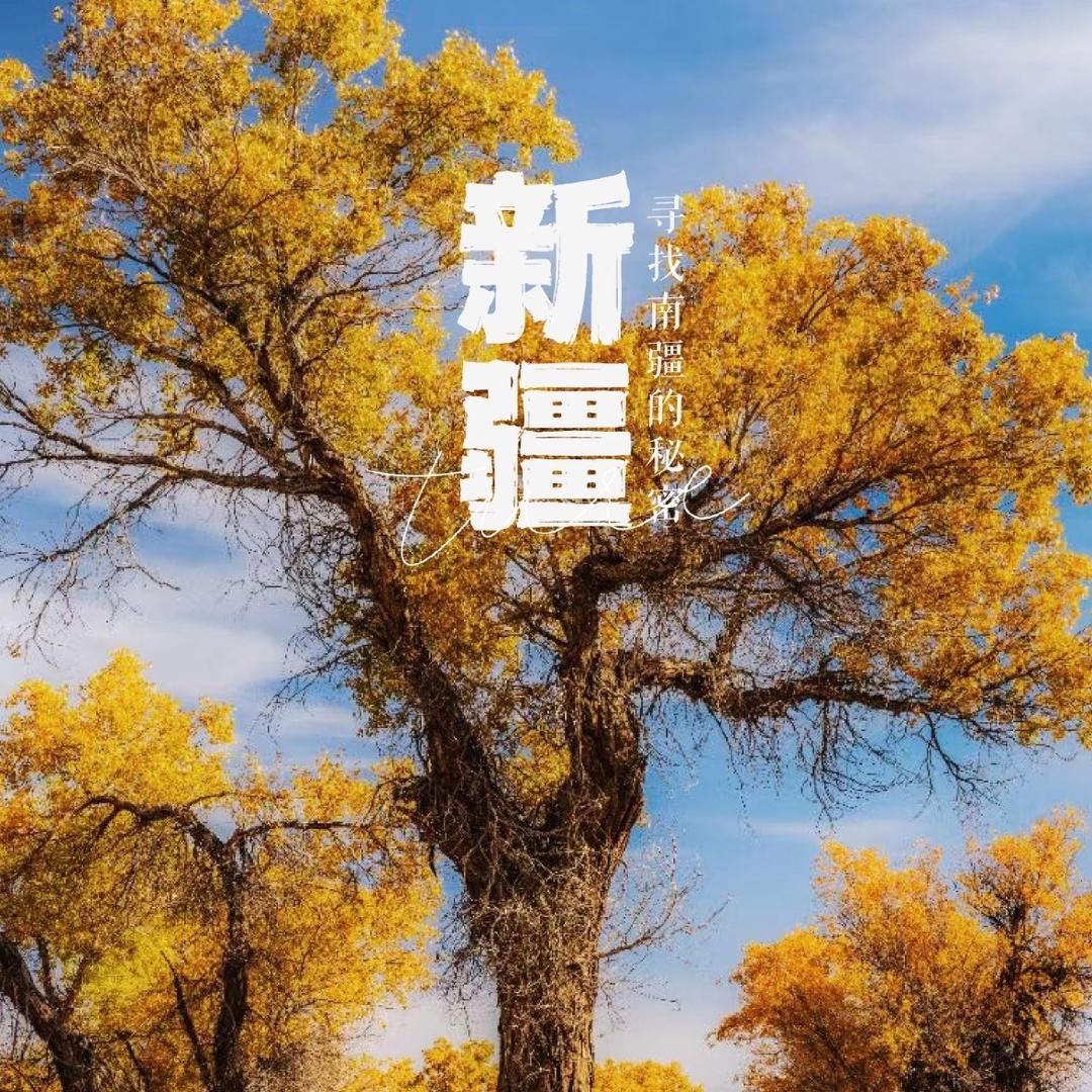 康辉带你游新疆胡杨林