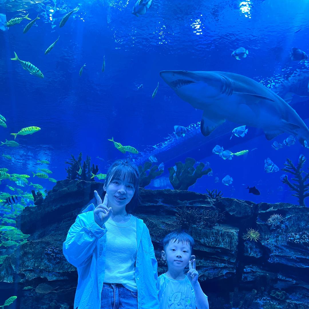 航航麻麻✨（橱窗好物分享）