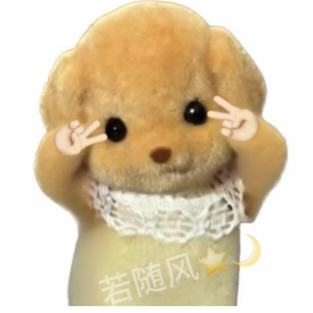 若随风⭐️🌙