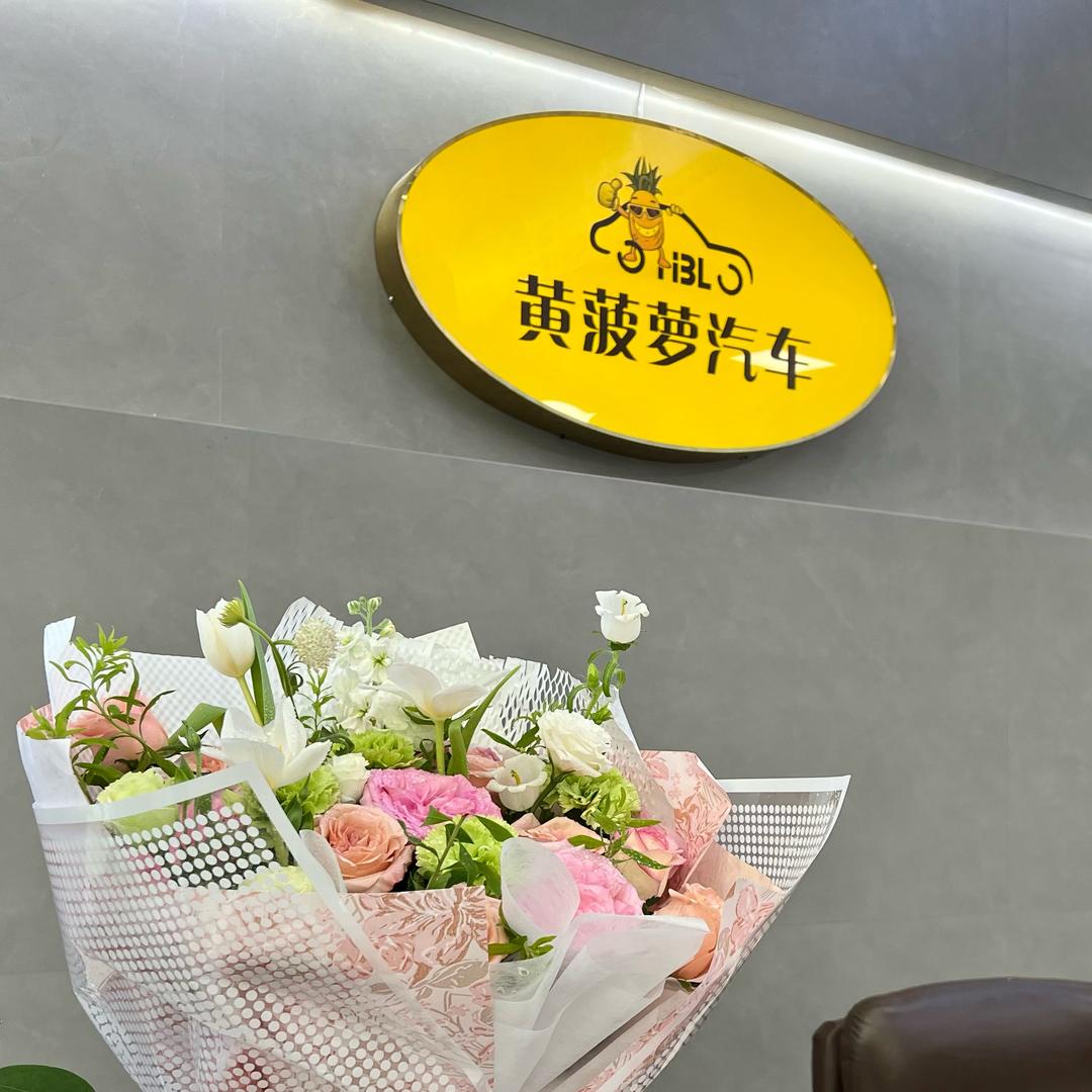 安吉黄菠萝汽车养护