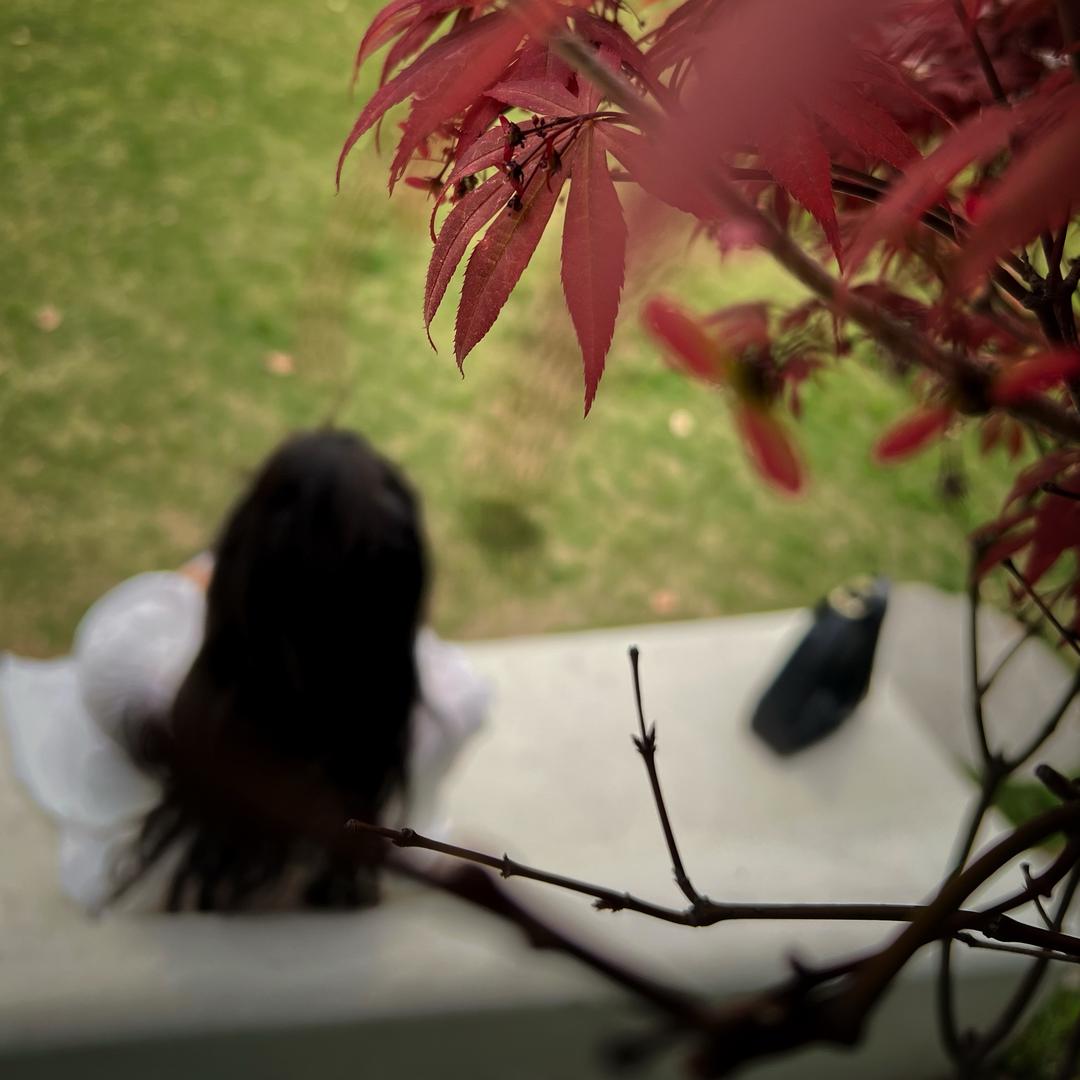 木木7