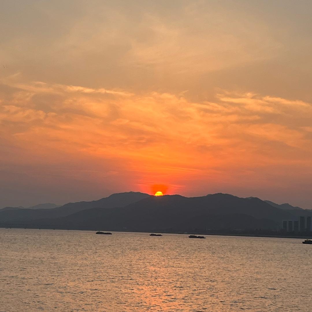 🐟大海