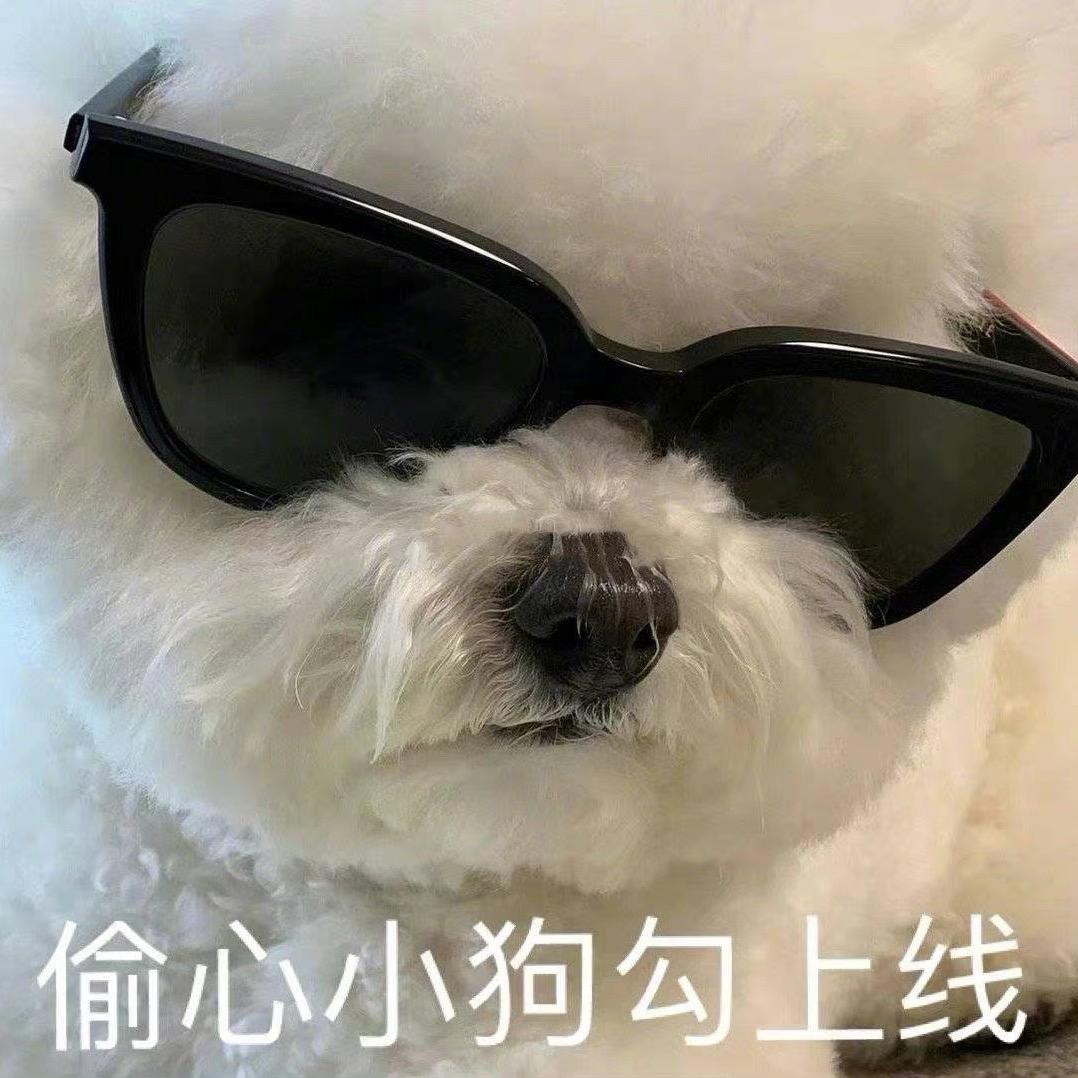 小安译世界
