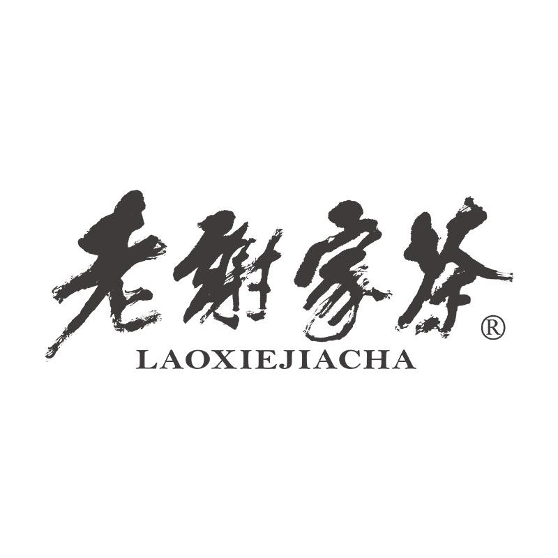 老谢家茶-（非遗黄山毛峰）