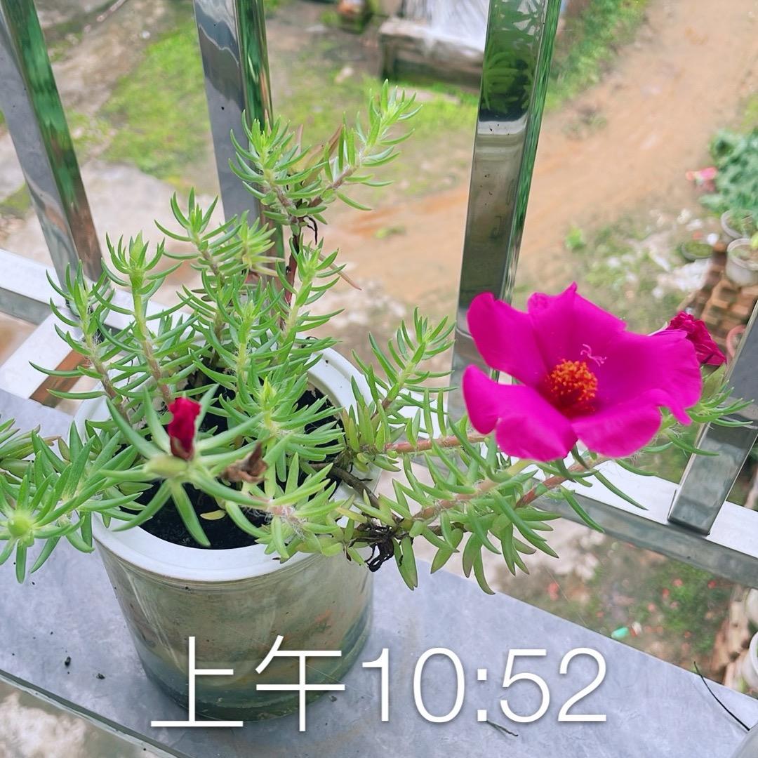 开心每一天。