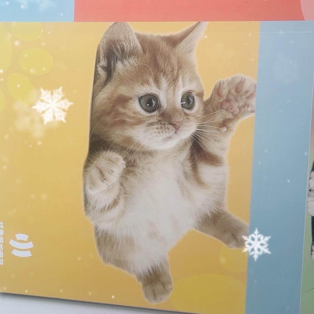 优趣宠物用品