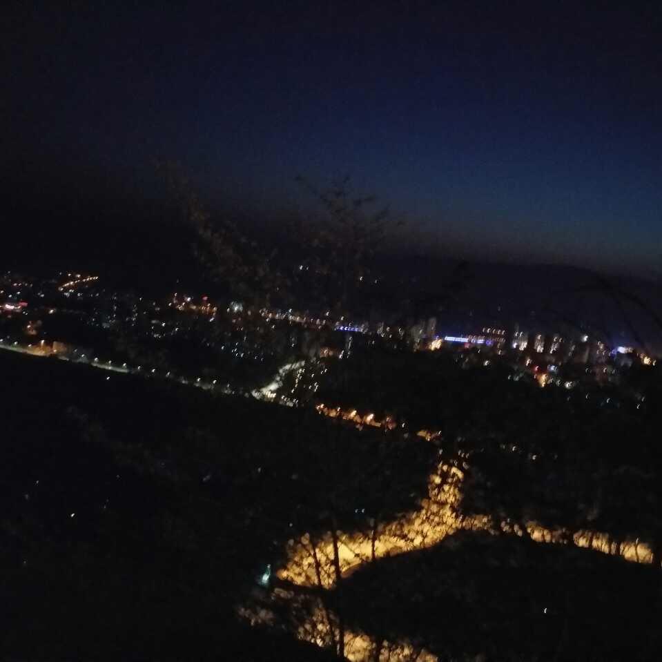 习惯