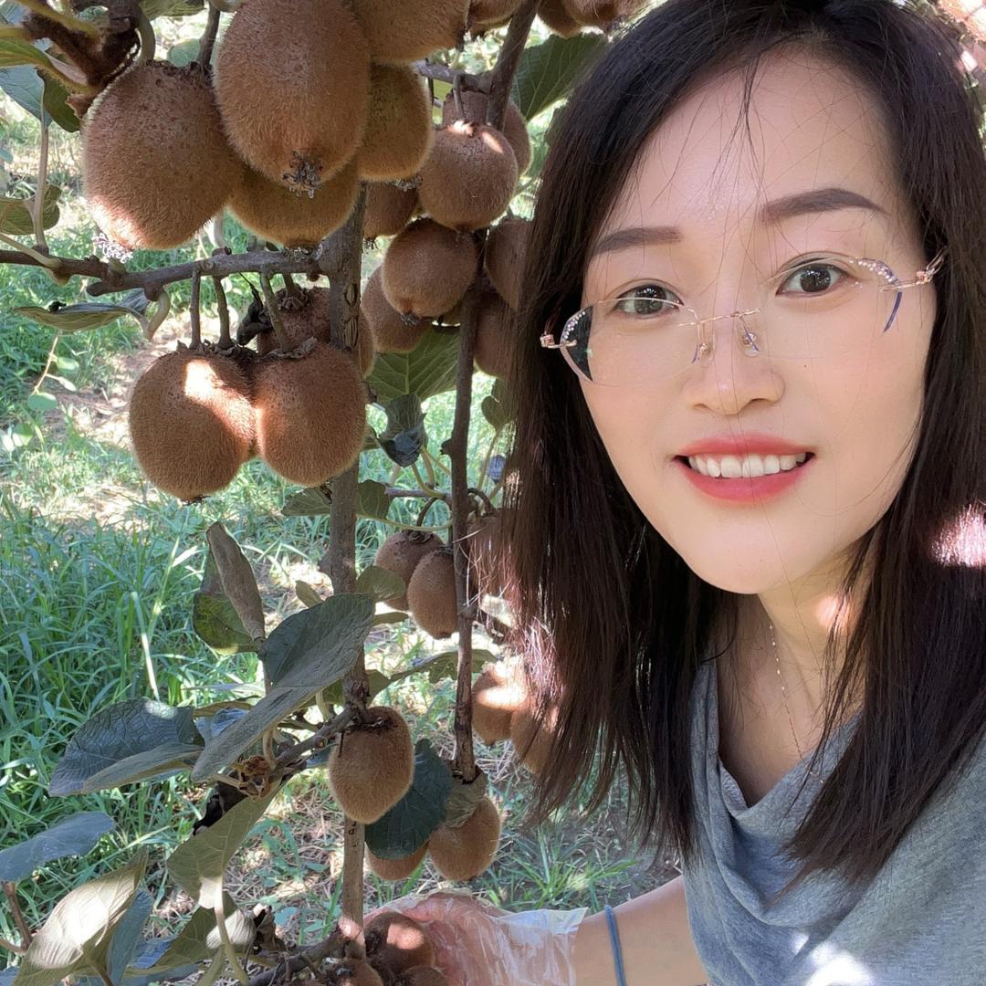 周至原生态黑猪