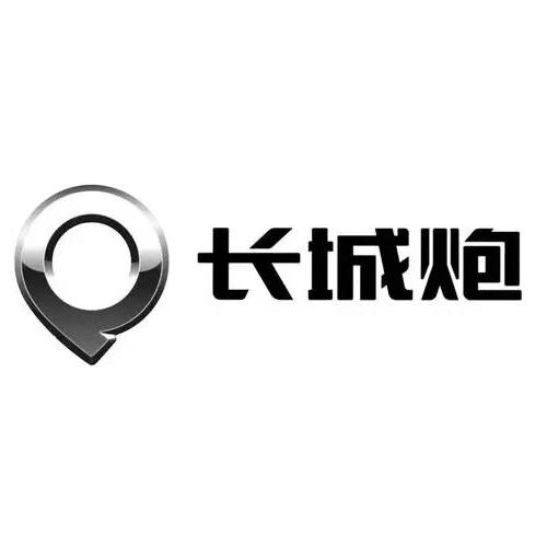 长城皮卡-阜阳淦兴店