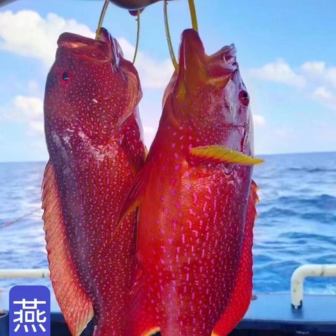 伊勒伯特利优选店