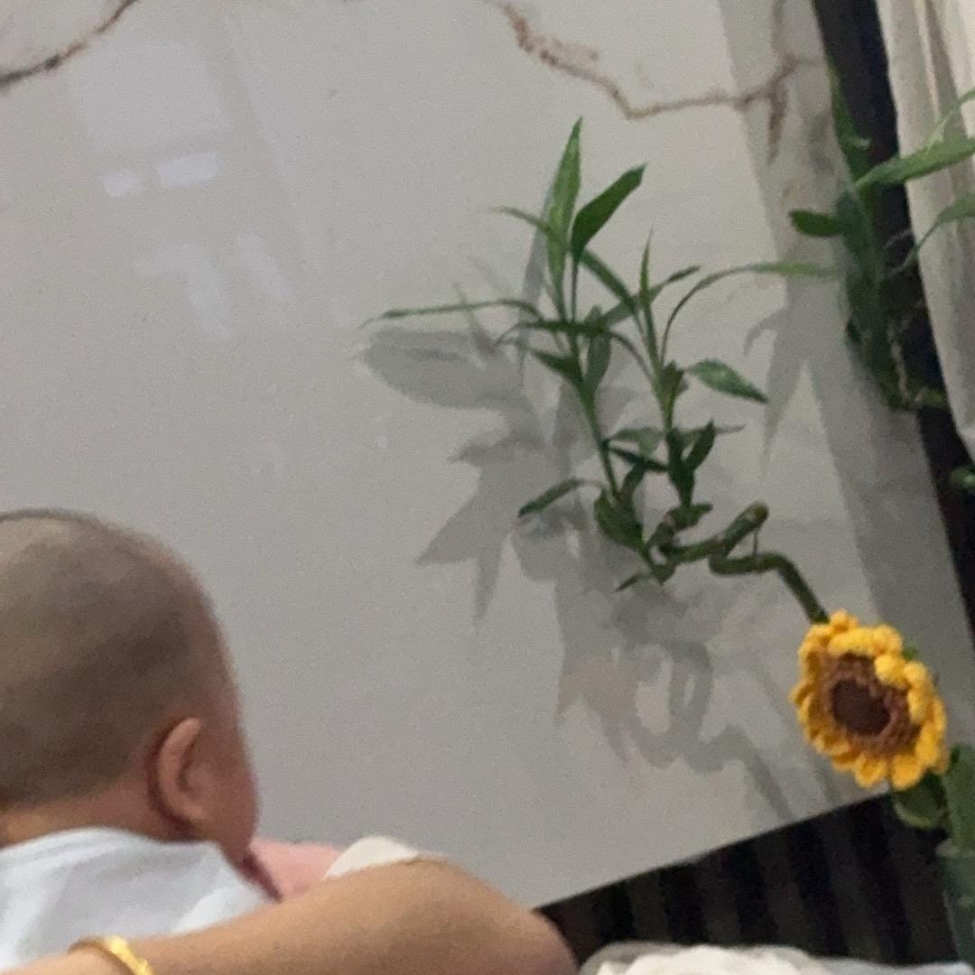 吉祥如意🦜