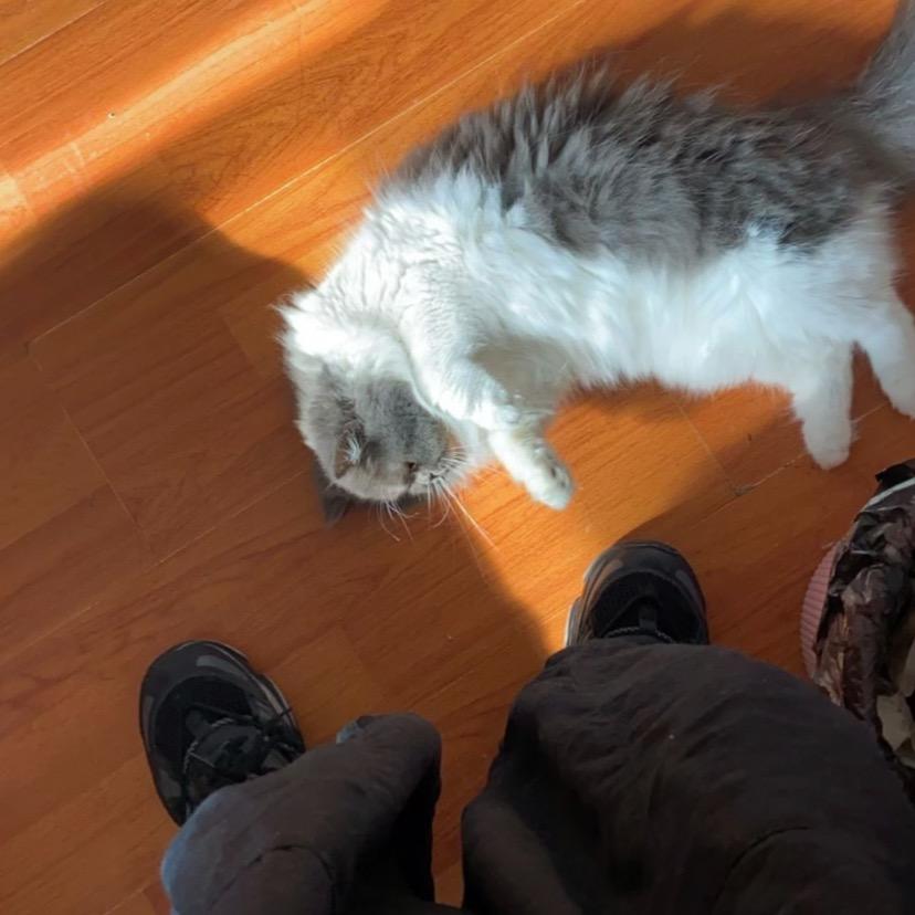 埃迪台球工作室·定制维修