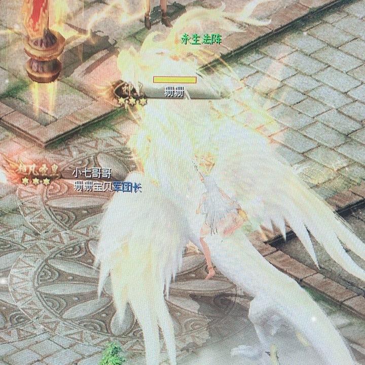 魔域珊珊吖.
