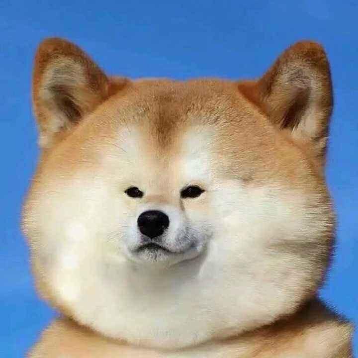 澈🐟