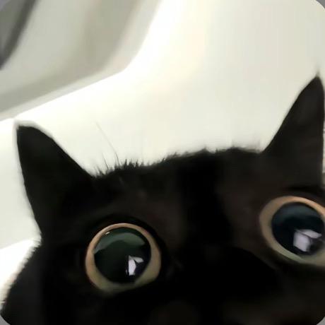 蛋蛋蛋蛋