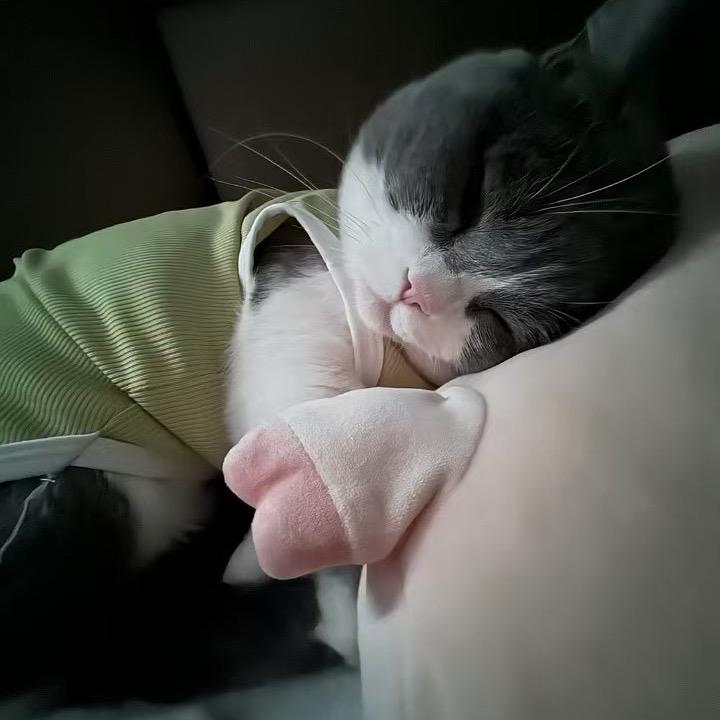 缘yuan☆.