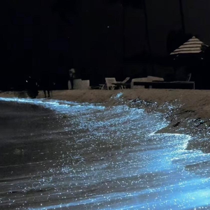 差不多先生🧔🏻‍♂️