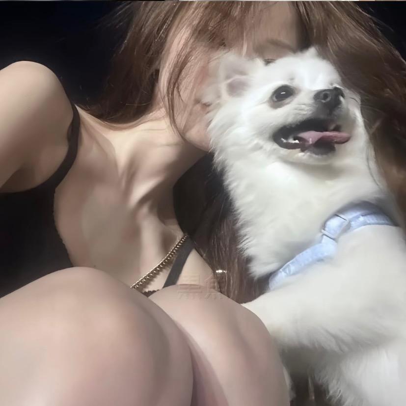 肉包子•