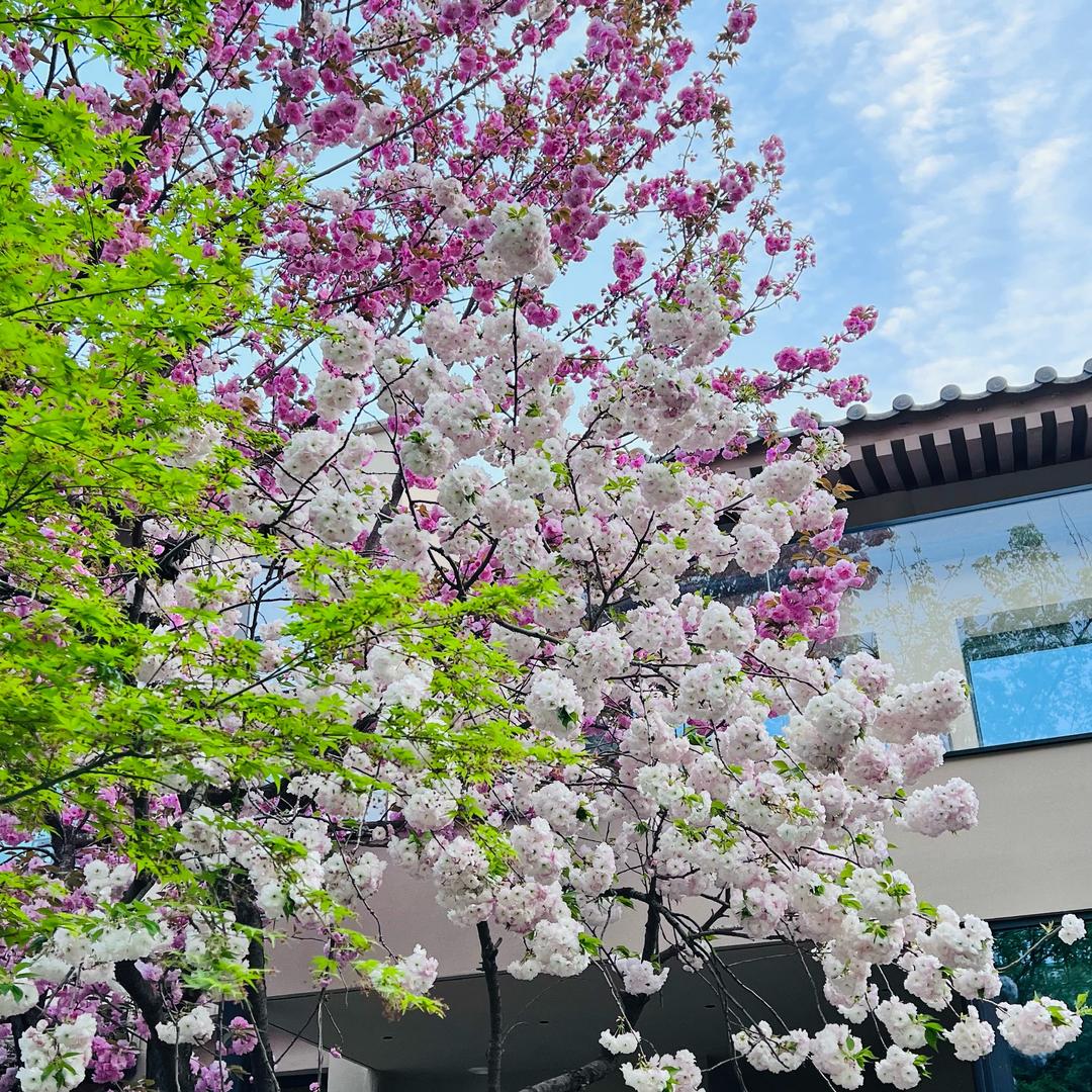 ㊖全村的希望㊖