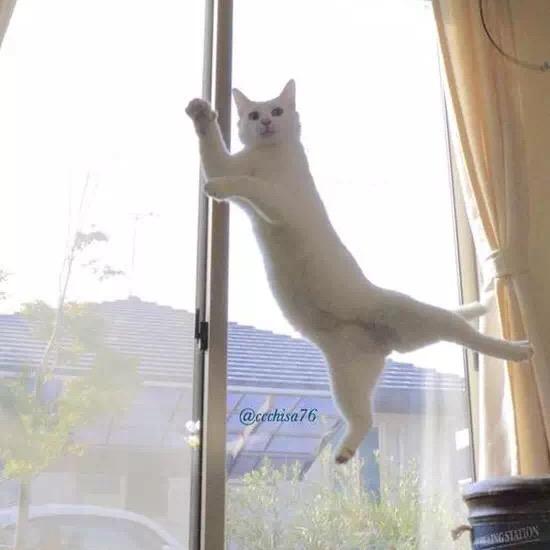 冬天也用大跑铅