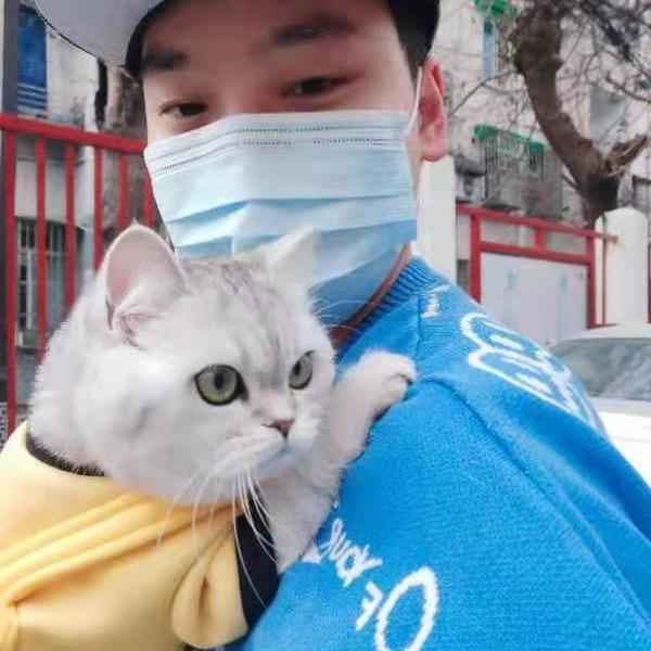 @无情的小趴菜୧⍤⃝🥖