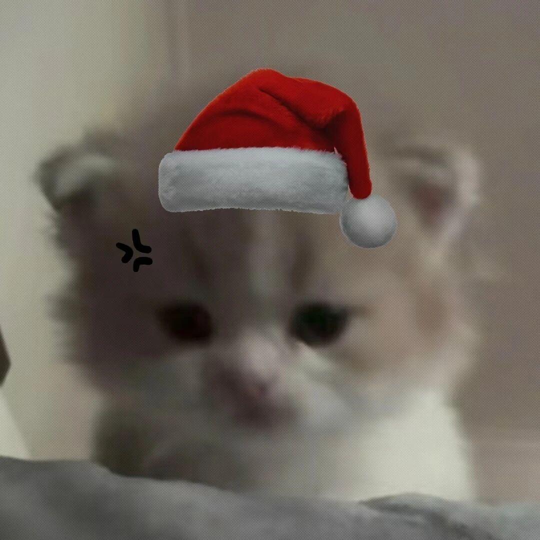 P-P