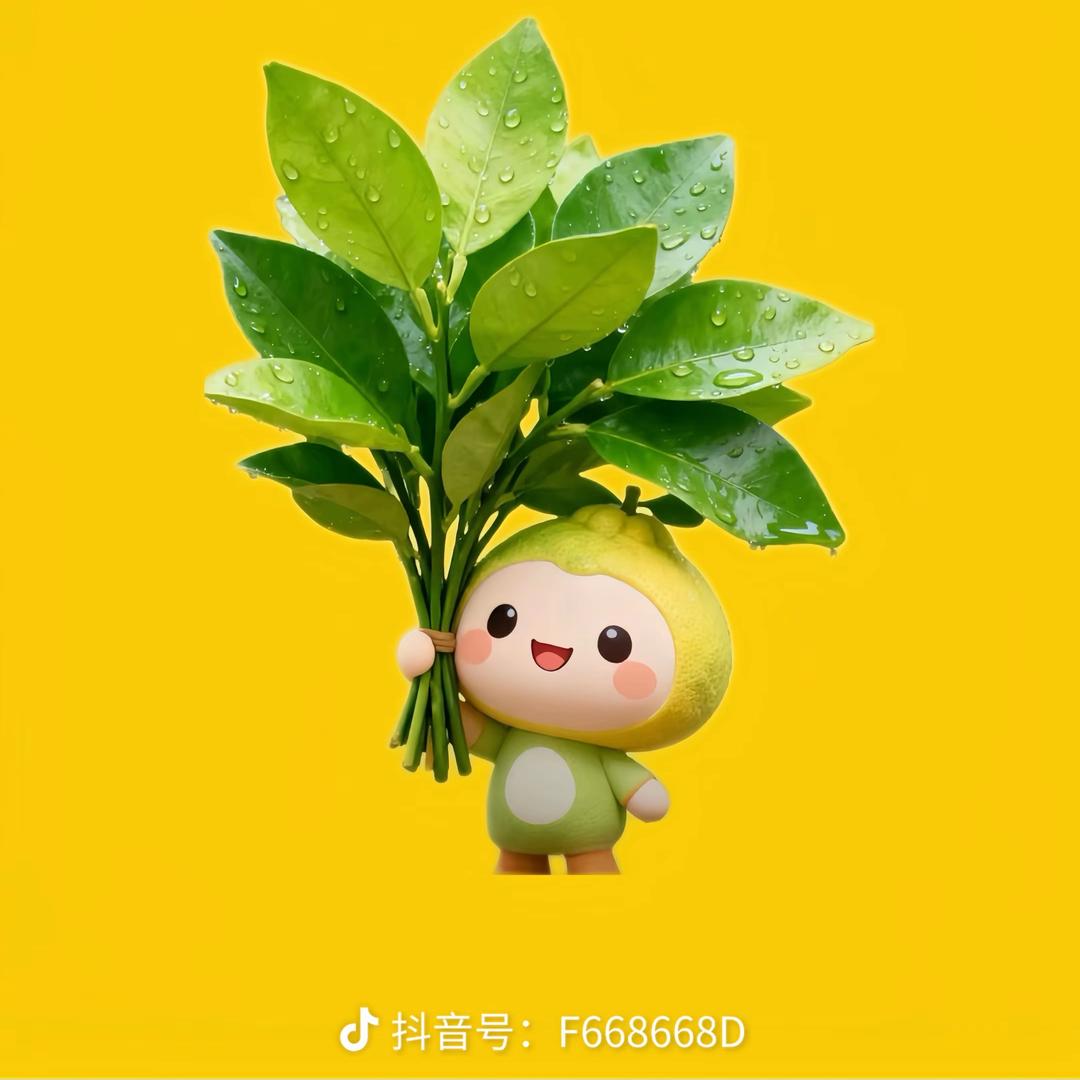 三秒倒休息简百户外