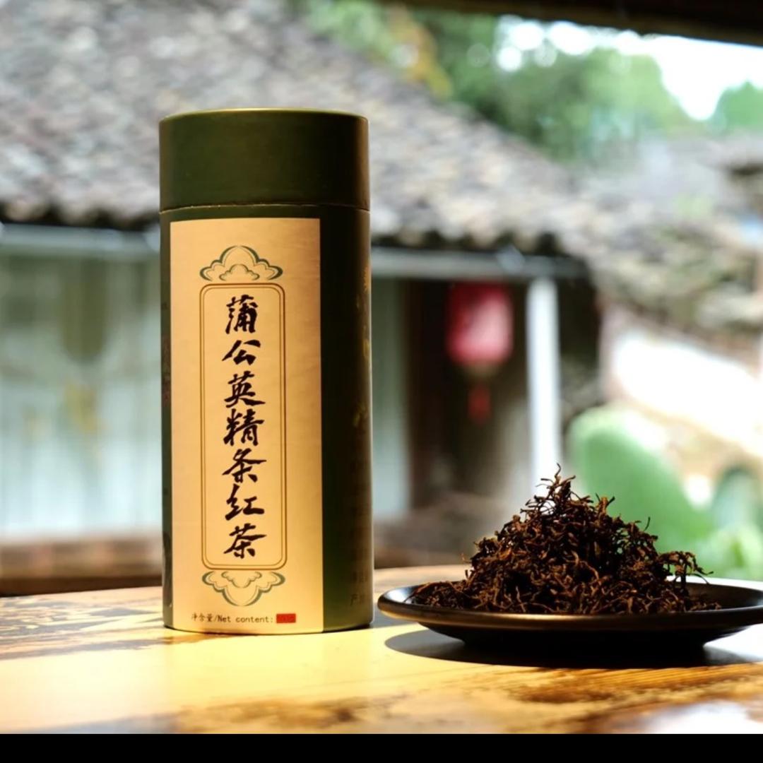 高黎贡山滇蒲公英