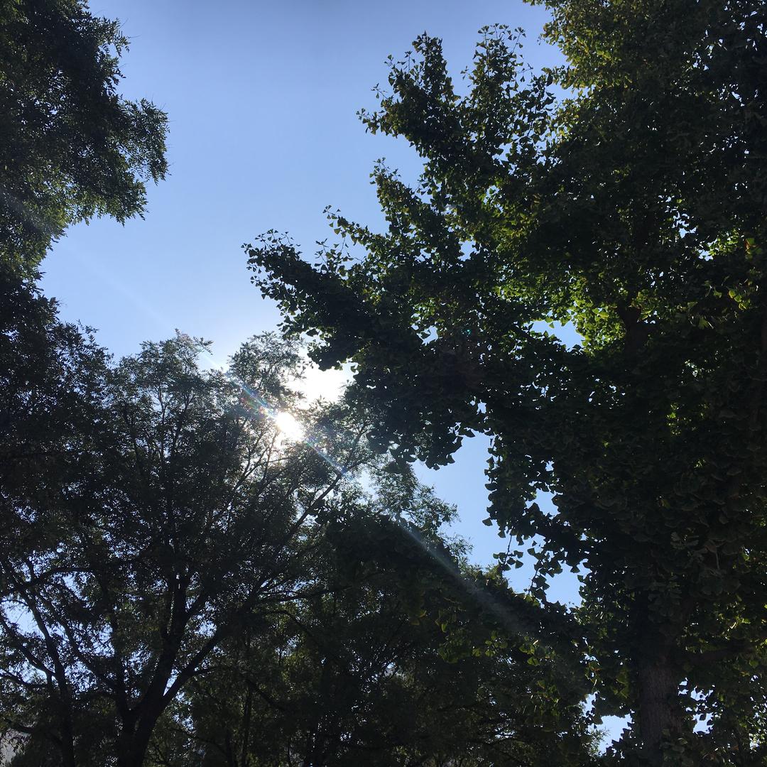 雨溪