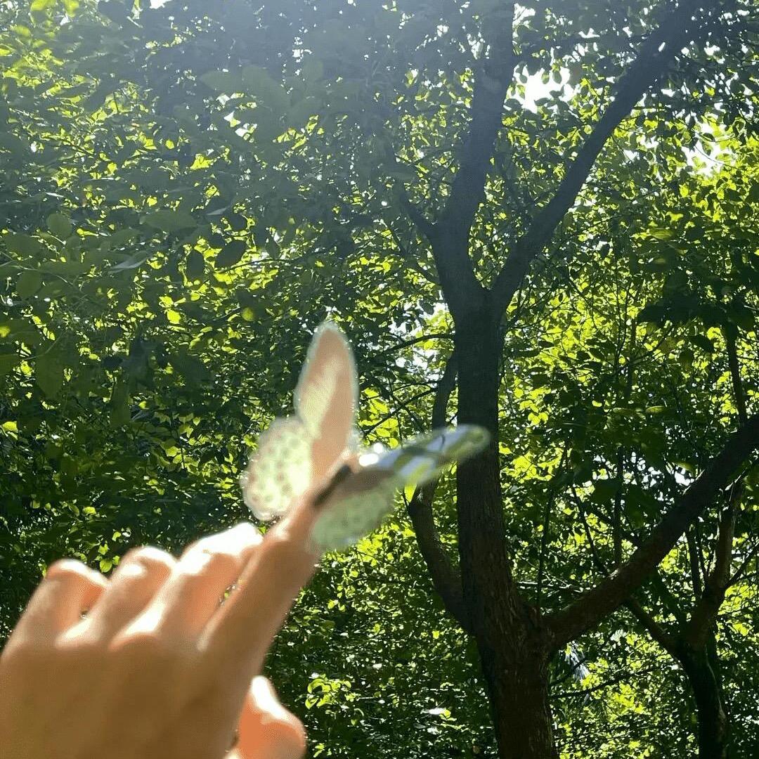 小灰
