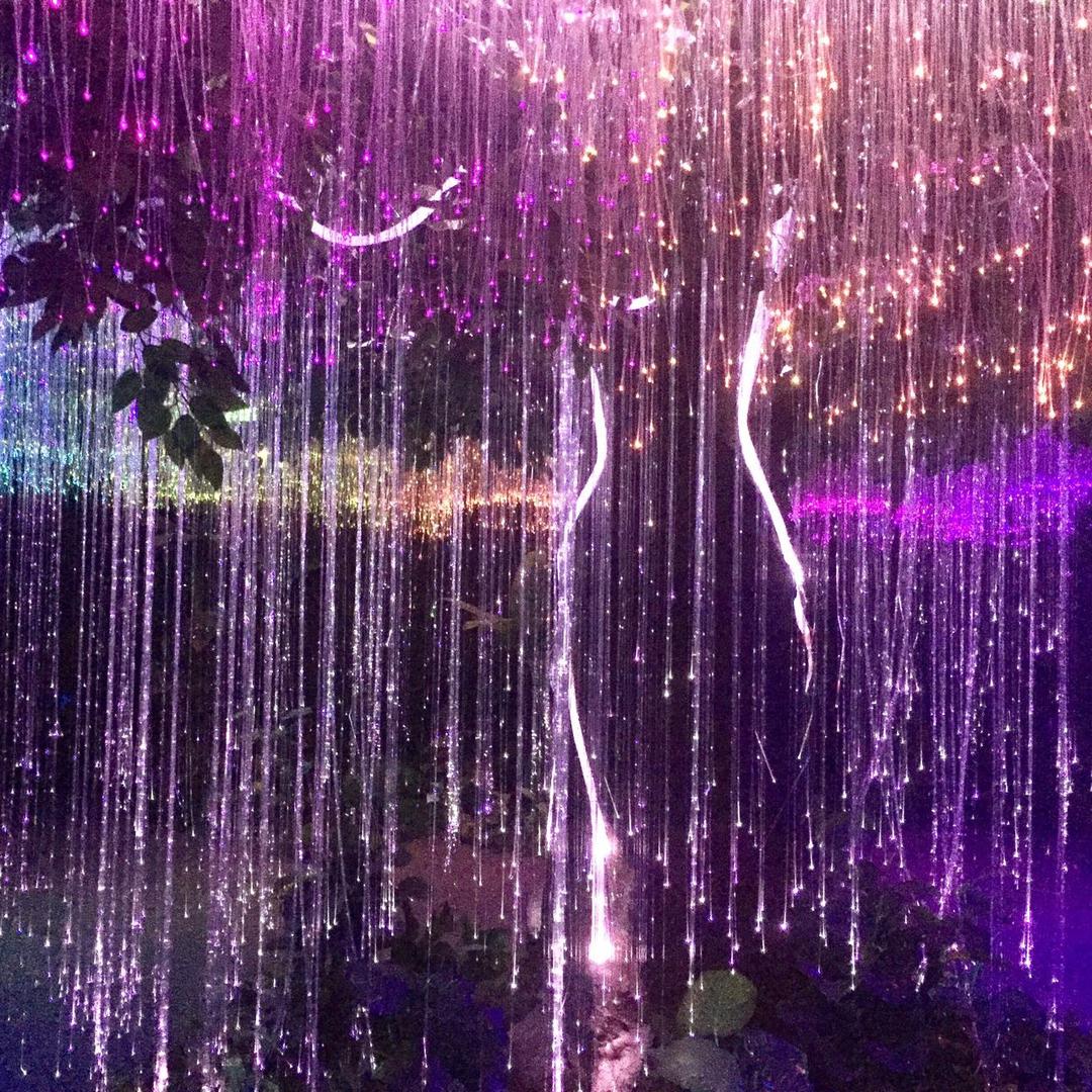 黄麦穗