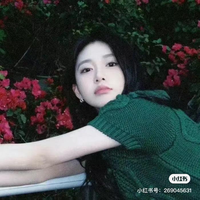 啊妃(奋斗版)