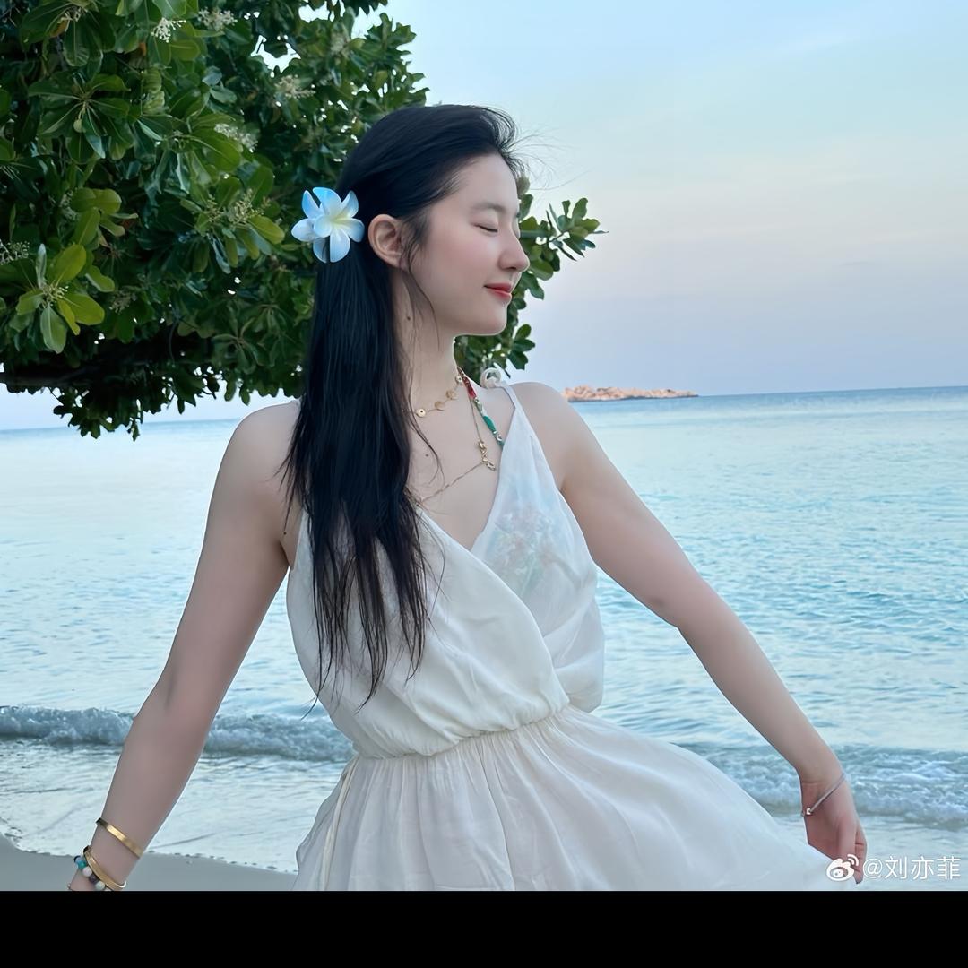 茜婷锋（见过谢霆锋-刘亦菲版）