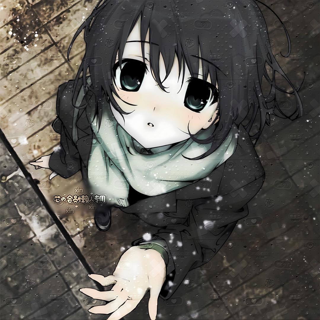雪循