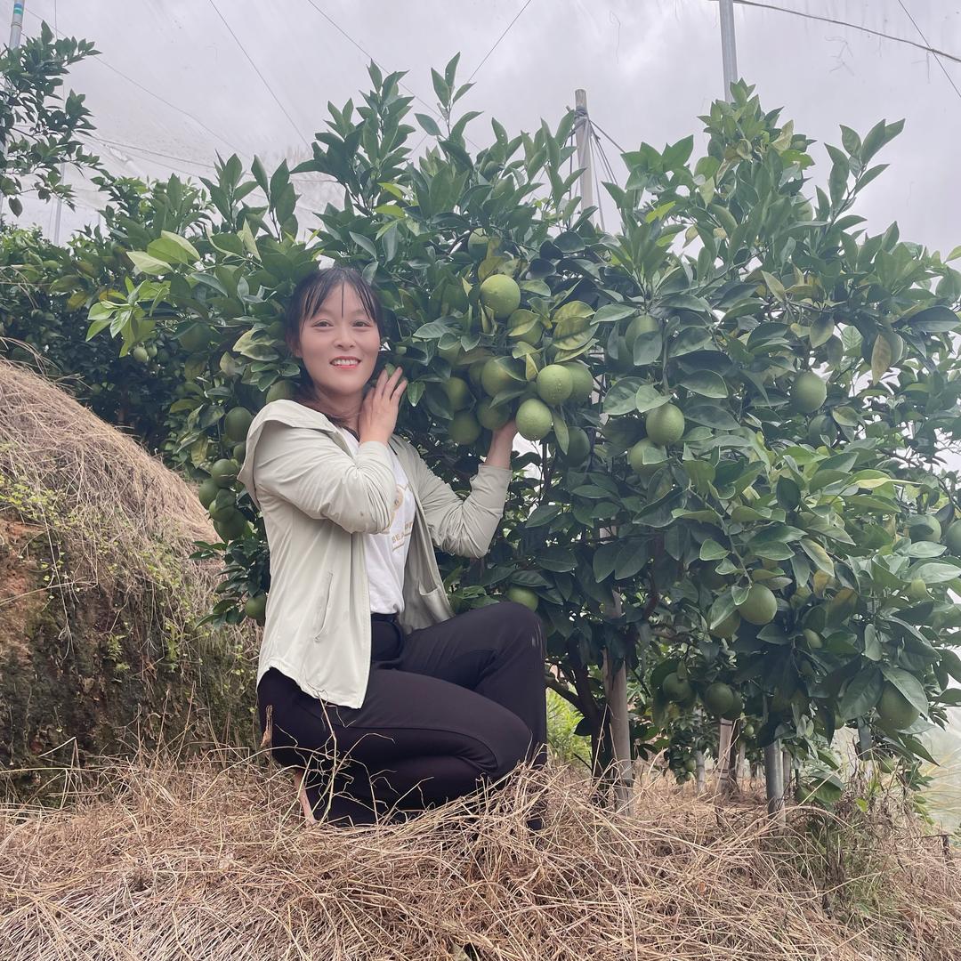 小叶子生鲜农场