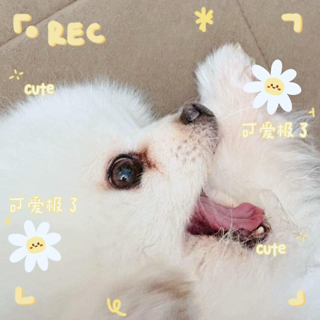 晓寂孤寒