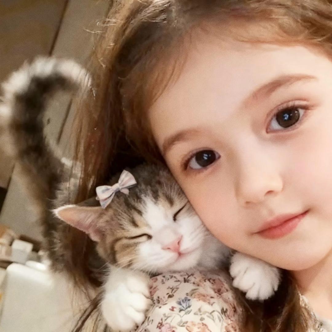 加菲猫