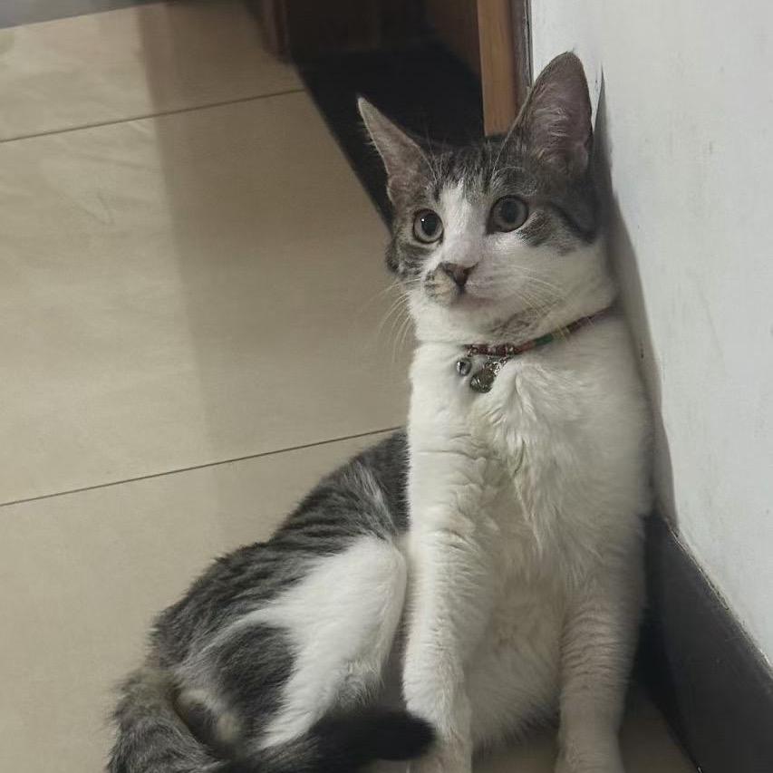 我行我素(拒绝私聊)