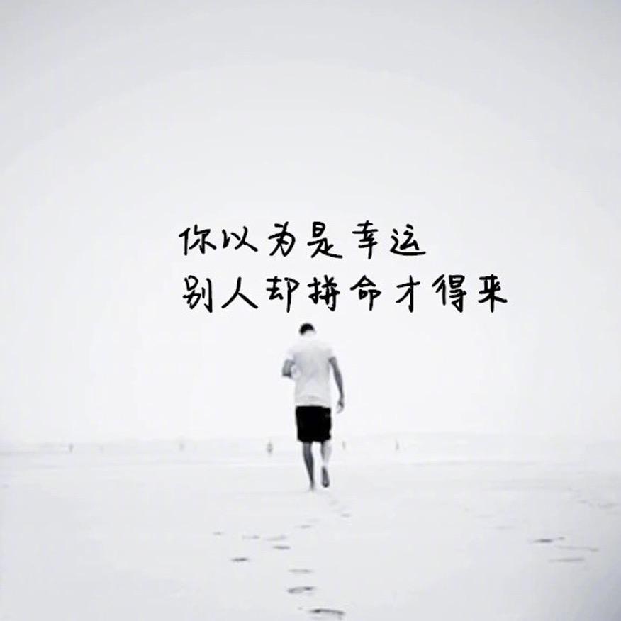 户外铛铛(防鸟网)（防蛇网)鸡网)兔网